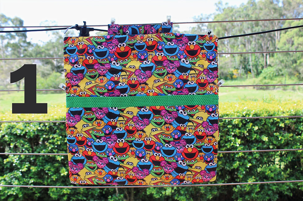 Seasame Reading Pillow