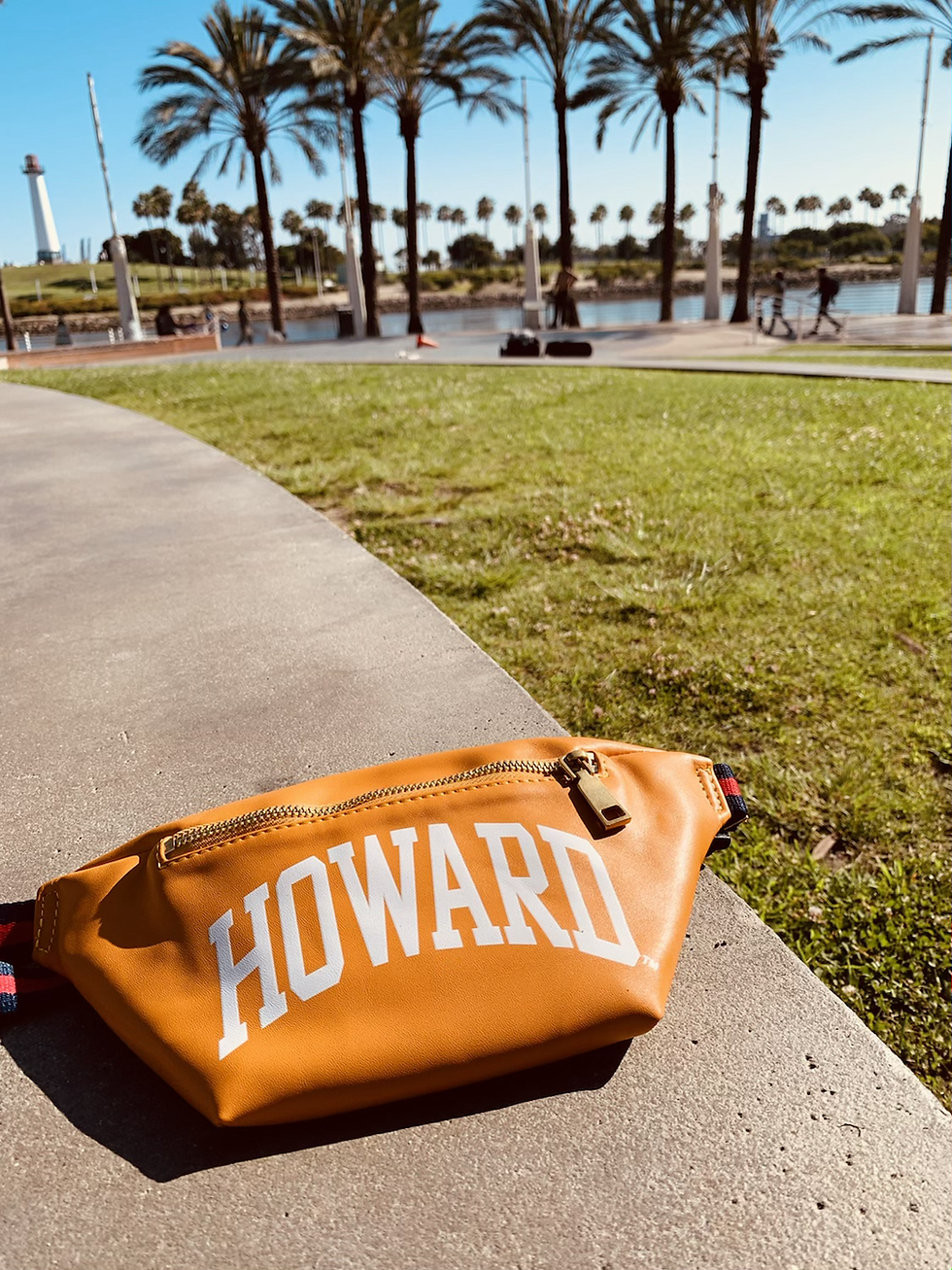 Thumbnail: Classic Mustard - Howard University 
