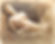Jaime Gubaton - Nude