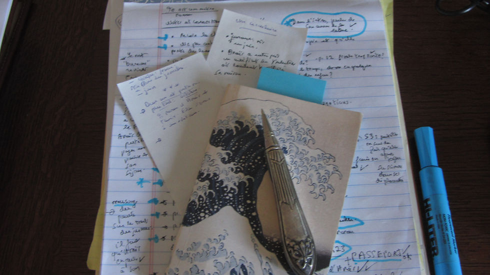 Notes pour l'écriture de mon roman...