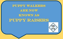 PUPPYRAISINGLABEL.JPG