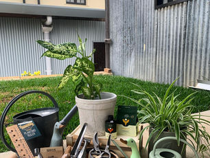 The Potager @Nolans