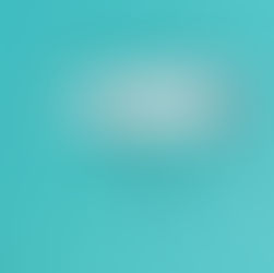 The One Thing You Can’t Miss in Exuma: A Boat Tour