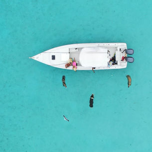 The One Thing You Can’t Miss in Exuma: A Boat Tour