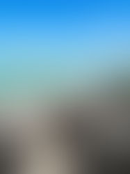 Where to Stay in Providenciales, Turks and Caicos