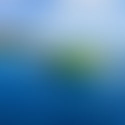 Must Do Experiences in St. John, USVI