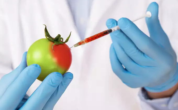 Genetically Modified Food – Is it Safe?