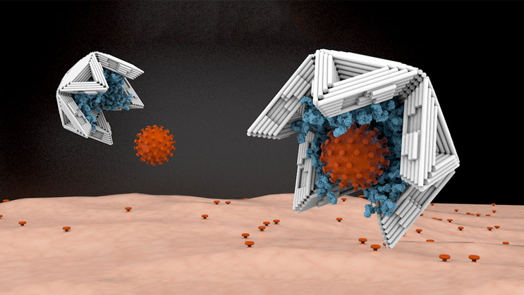 DNA Origami Virus Traps: A New Antiviral Treatment