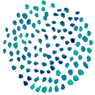 Palliative and End of life care at home Illawarra, Wollongong, Kiama