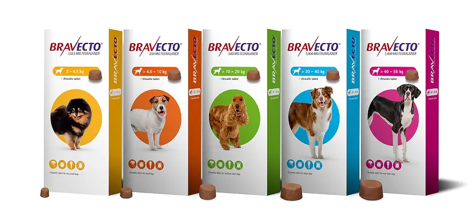 Thumbnail: Bravecto Chew Tick & Flea Treatment