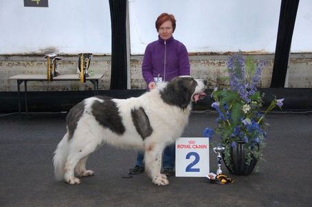 PM History in Finland