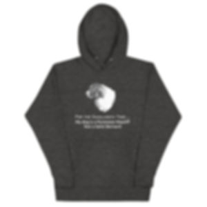 "For the Gazillionth Time" Unisex Hoodie