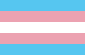 transgender-flag.gif