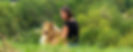 Comportementaliste chien Angers