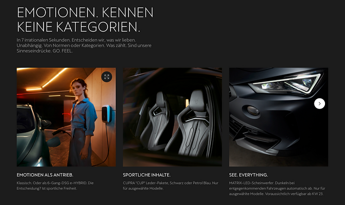 Beispiel einer Cupra Webseite