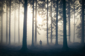 Self-image of Markus Albert, landscape photographer in a foggy woodland