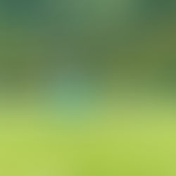 2. bis 5. Liga: Gelungener Abschluss der Feldsaison 2022