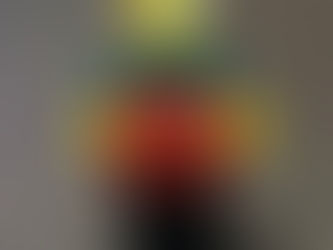 Meet the LEGO Artifact Wranglers!