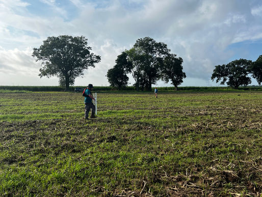 Sometimes, We Don’t Even Need to Dig — You Dig?