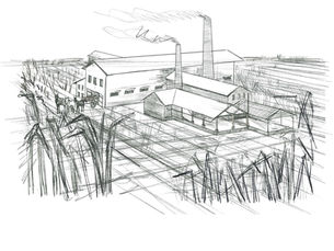 The Dunboyne Sugar Plantation