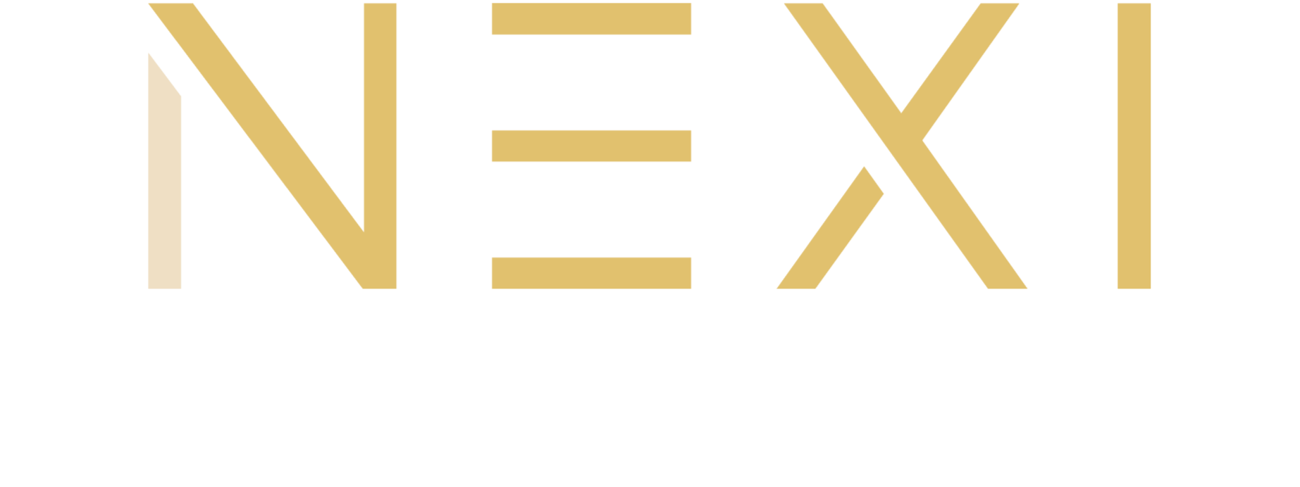NEXI Medical Logo