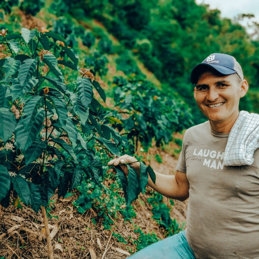Colombia El Paraiso Anaerobic Lychee 形象照
