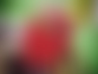 Café leilei　オープンしました！