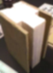 Nucleus Building systems_edited_edited