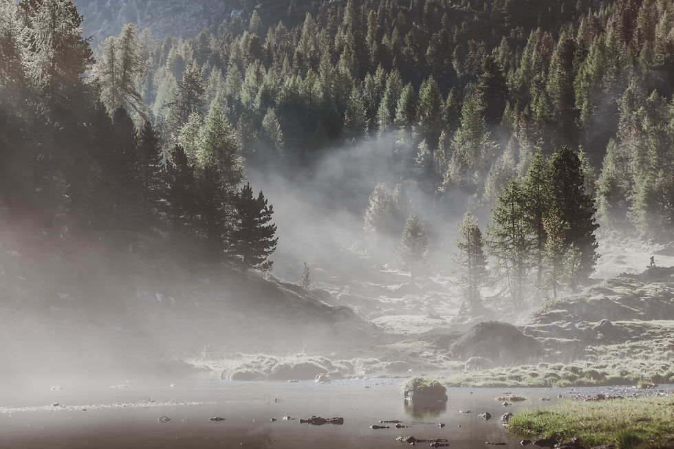 tobias-rademacher-4VtMqk2iGzA-unsplash.jpeg
