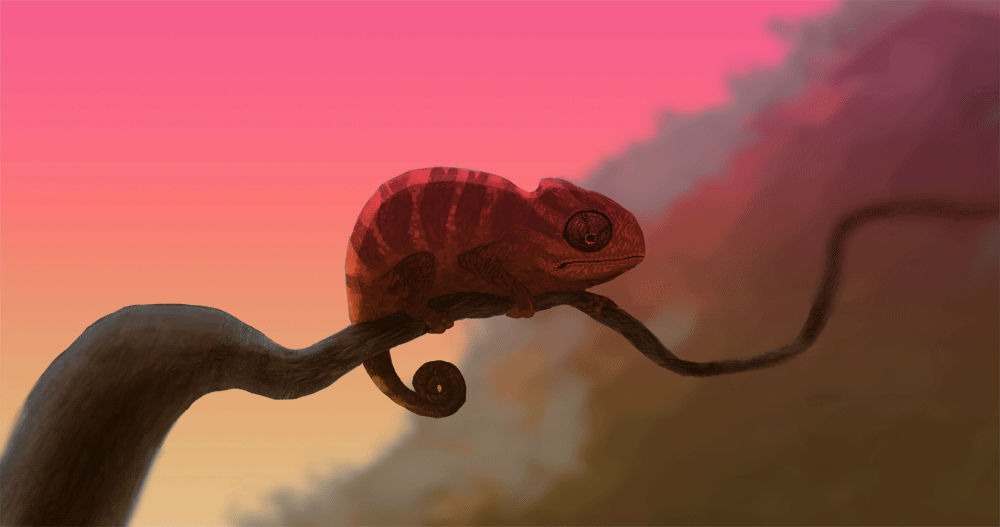 2.gif