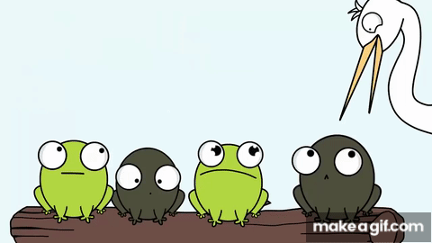 Qj4PiD.gif