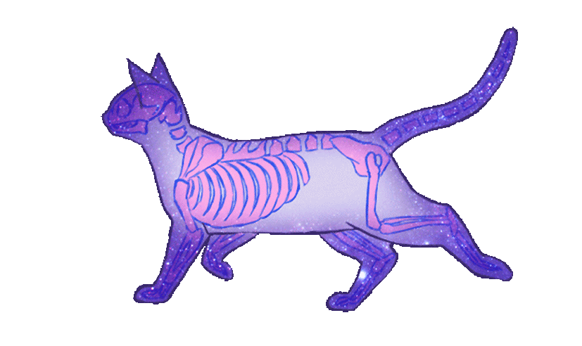 3d86e181192231669aaaf4245cd63368.gif