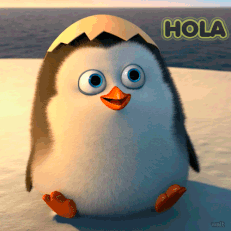 image.gif