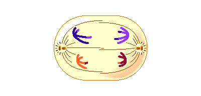 f5860e_1d5672eaccd54c738778f472fa5a2862 (1).gif