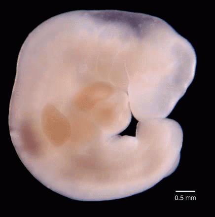 d12a117e2e715efdc577404e20646001.gif
