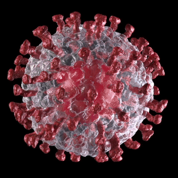 230ec394989969.5e8c9fbef26d0.gif
