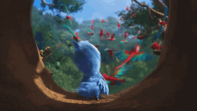 rio-rio-movie.gif