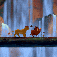 200w.gif