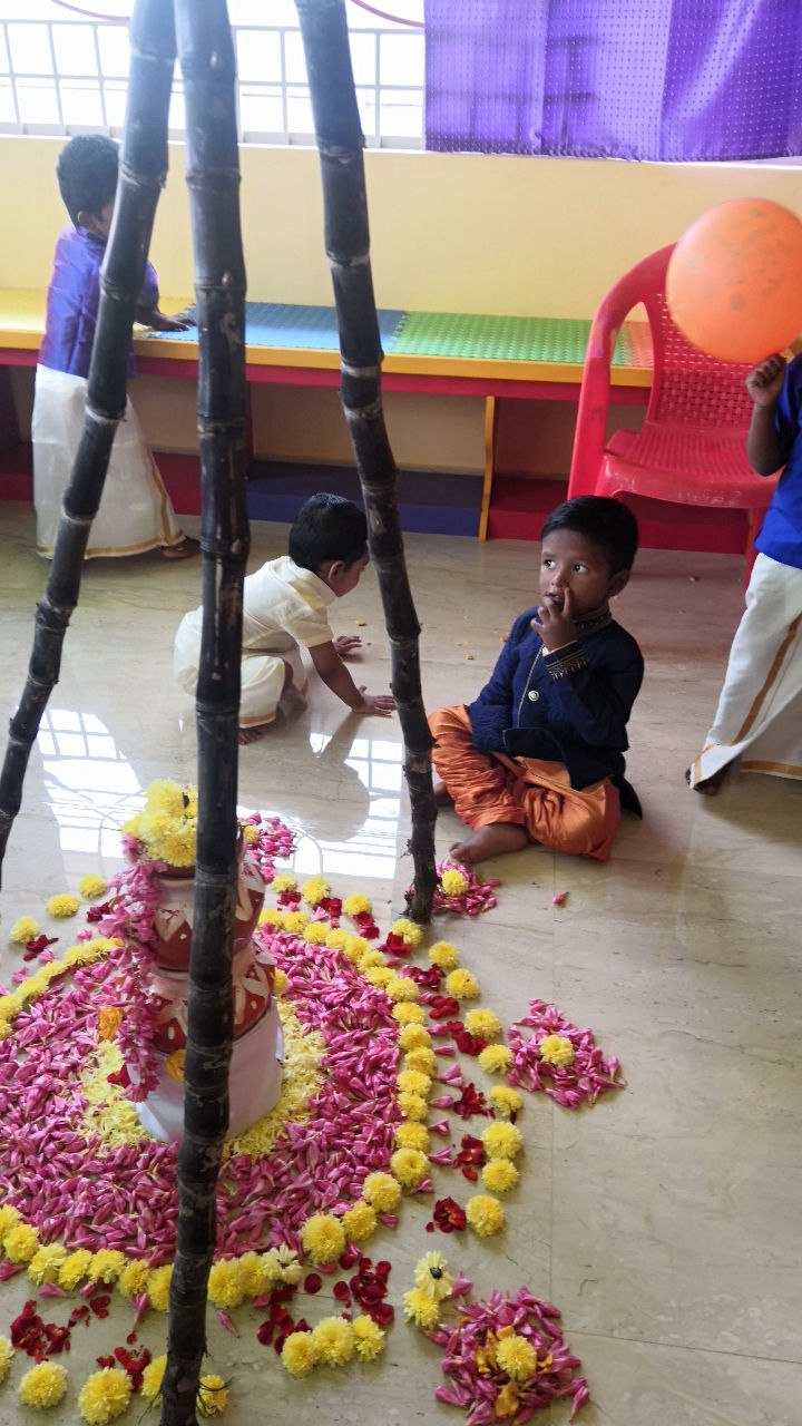Pongal Celebration