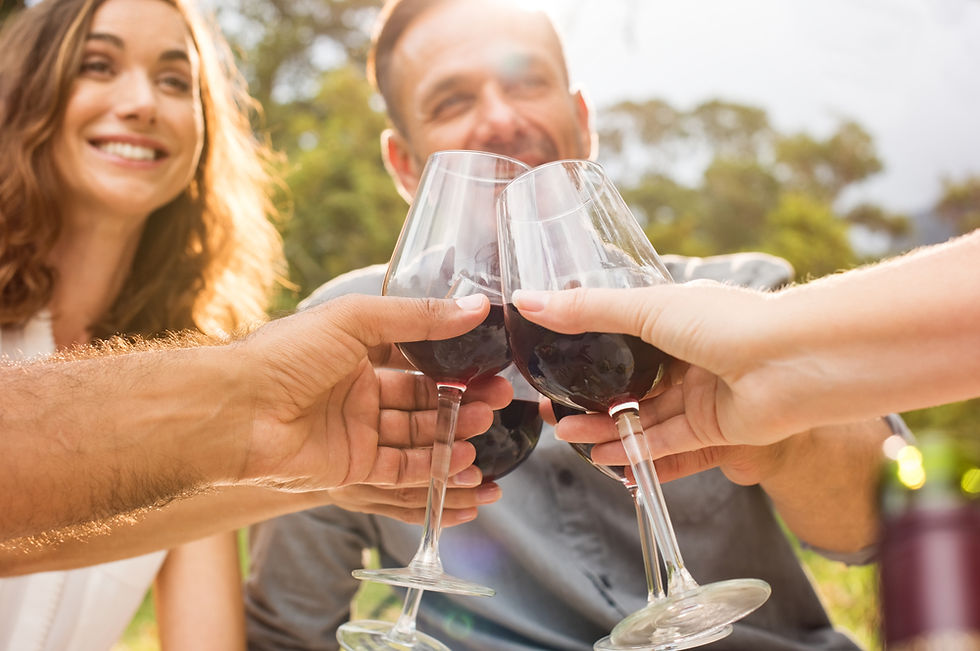 Degustación de Vinos Orgánicos Chakana