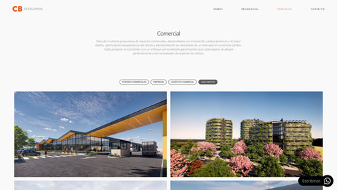 Página de Proyectos