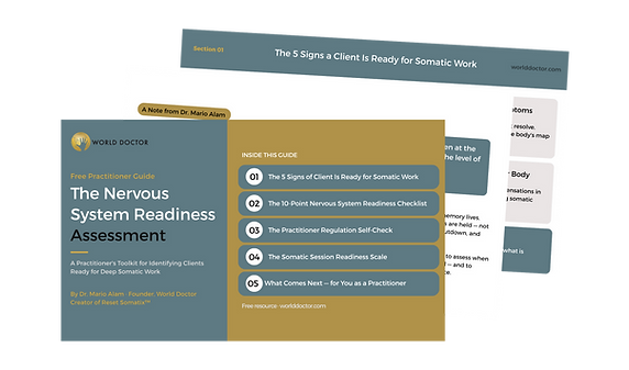 Practitioner Guide flyers