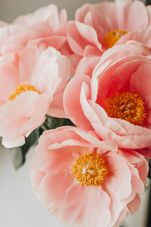 peonies4.jpeg