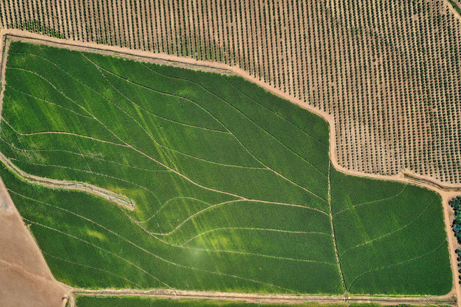 DJI_0571.jpeg