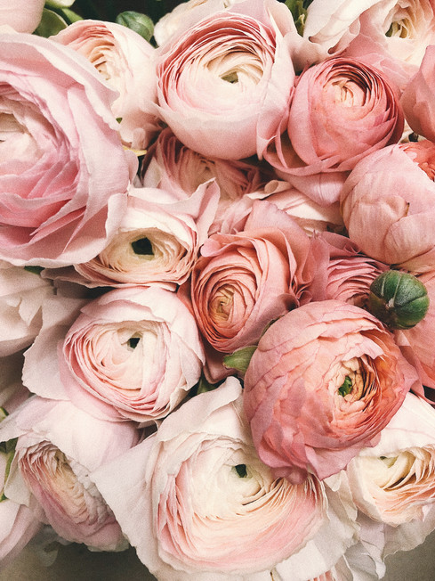 peonies1.jpeg
