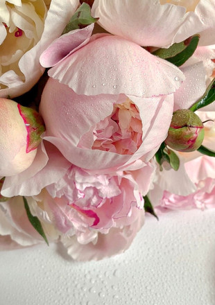 peonies6.jpeg