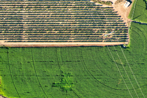 DJI_0588.jpeg