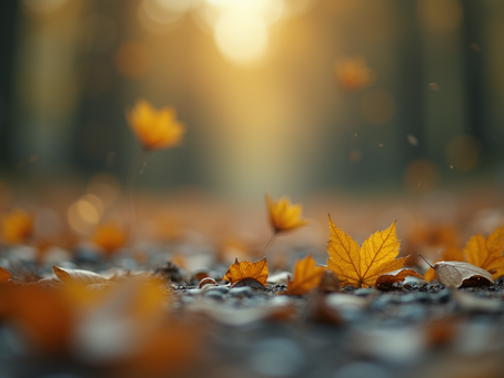 Fiyatları ve Performansıyla Öne Çıkan Medikal Ürünler