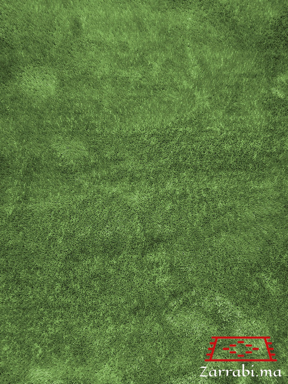 Tapis SHAGGY doux twist vert