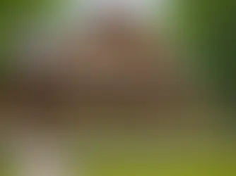 Revolutionize Your Custom Home: How to Choose Materials Like a Pro and Create Your Dream Space